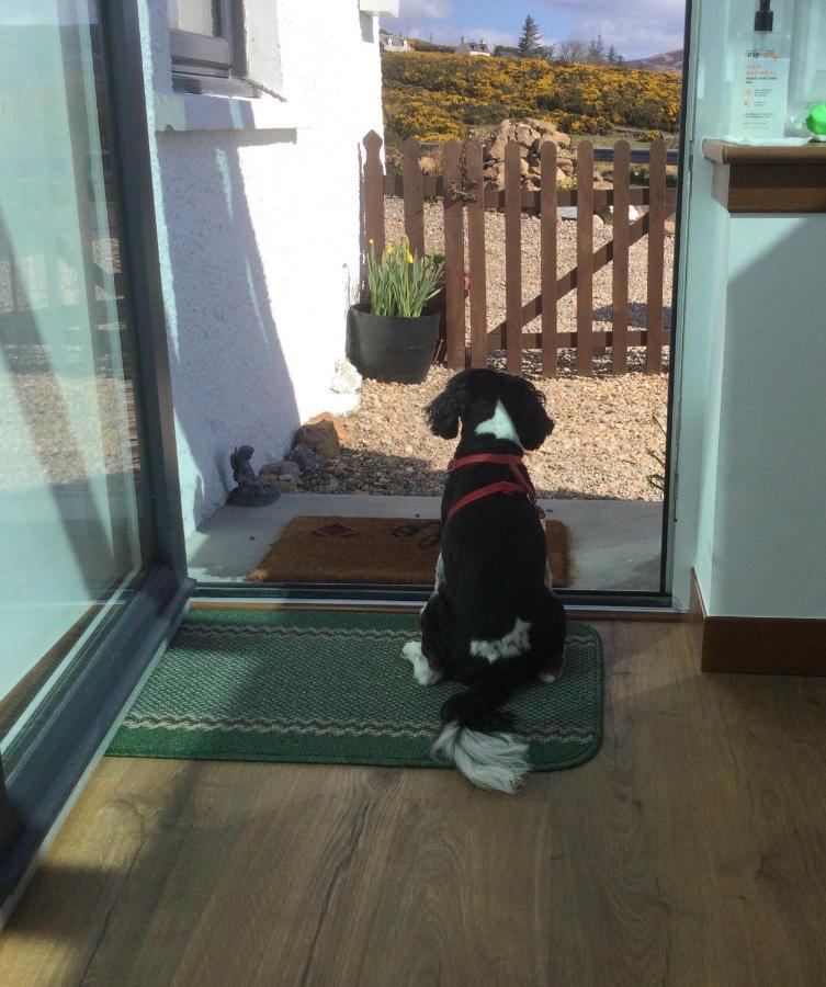 Piper'S Cave Bed And Breakfast Helmsdale Bagian luar foto